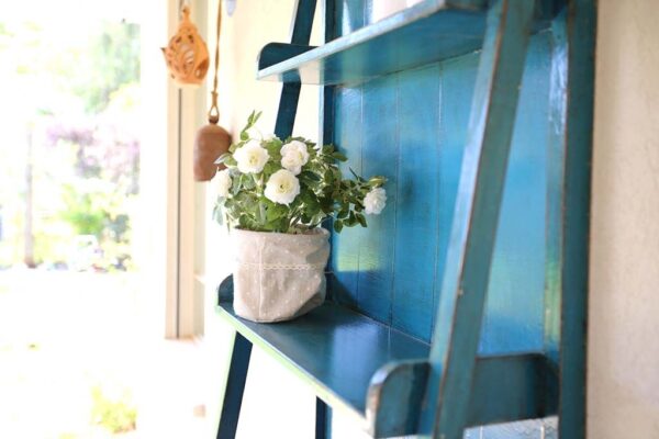 מדף בצבע טורקיז עם צמח פרחים בלבן, מואר באור טבעי ונעים.